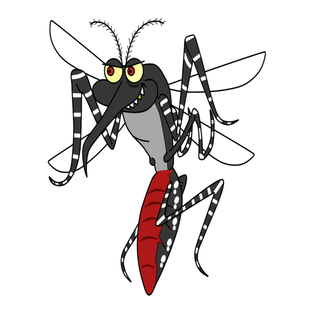aedes aegypti, cartoon, illustration, disease, error, vector, dengue, mosquito, zika, dengue, mosquito, mosquito, mosquito, mosquito, mosquito-1351001.jpg